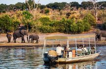 Chobe Day Trip 