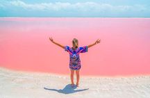 Tour Las Coloradas & Rio Lagartos from Riviera Maya 