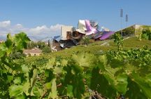 La Rioja wine tour: winery and traditional lunch from Bilbao