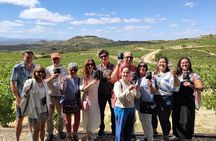 La Rioja wine tour: winery and traditional lunch from Bilbao