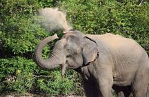 Wasgamuwa National Park | Private Safari