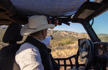 Sonoran Desert Jeep Tour 
