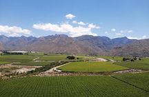  Winelands Tour