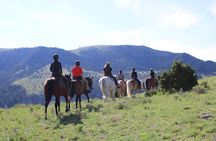 Blue Flower Trail Ride