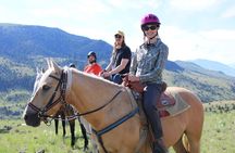 Blue Flower Trail Ride