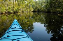 Kitty Hawk Maritime Forest Kayak Tour