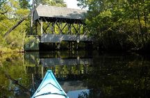 Kitty Hawk Maritime Forest Kayak Tour