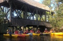 Kitty Hawk Maritime Forest Kayak Tour