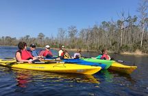 Kitty Hawk Maritime Forest Kayak Tour