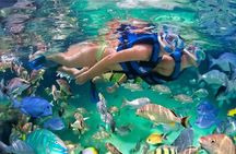 Xelha All Inclusive 