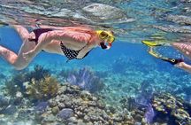 Premium Phi Phi Island Maya Bay Bamboo island From Phuket By Speedboat