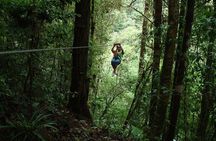 Zip Lining Adventure from San José