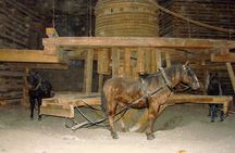 Wieliczka Salt Mine Guided Tour from Krakow with Private Transfers