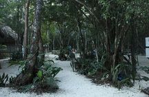 "Unforgettable Tulum Adventure: Ruins and Cenotes from cancun