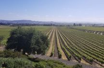 Private Group Wine Tour of Napa and Sonoma