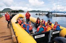 Ketchikan Rainforest Island and Boat Adventure