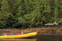 Ketchikan Rainforest Island and Boat Adventure