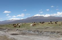 Sajama National Park 3D/2N