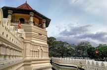  Kandy Sightseeing Day Tour from Colombo (All Inclusive)