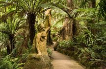 Private Dandenong Ranges Tour including Puffing Billy