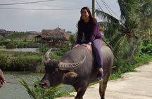 Hoi An Countryside Tour:Basket Boat,Buffalo Ride, Farming & Lantern Making Class