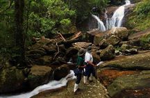 Sri Lanka Sinharaja Rain Forest Tour with Transport 