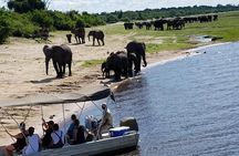 3 Hours Chobe River Boat Cruise