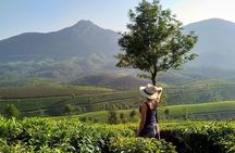 Kerala Honeymoon Special Package with Private Houseboat 