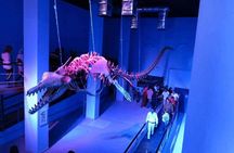 Hurghada Grand Aquarium Entry Ticket and Tour