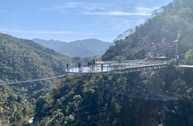 Private Day Tour to Gulong Canyon Glass Bridge from Guangzhou