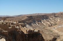 Private Day Trip to Dead Sea and Masada from Tel Aviv