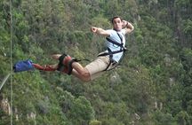 3 Day Big 5 and Bungee Tour - Garden Route Small Group Tour from Cape Town