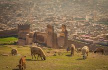 Fes day tour from Casablanca