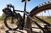 Cape Town: E-bike Wineland tour half-day