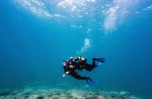 Try Dive in Tenerife