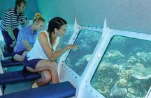 Ocean Spirit Sail to Michaelmas Cay Snorkel or Dive, from Cairns
