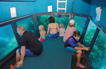 Great Barrier Reef Adventure from Cairns including Snorkeling