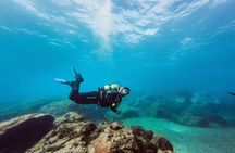 Immersion Certified Diver