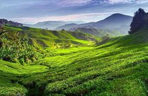 Kerala Honeymoon Special Package with Private Houseboat 