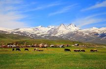 Mount Aragats, Amberd Fortress, Saghmosavank Monastery, Alphabet - private tour