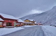 PRIVATE TOUR: Sketches of Norway , Gudvangen, Flåm, Stegastein 