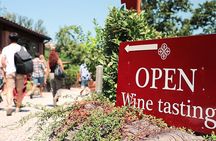 Chianti Wine Tour: Two Wine Tastings, Vineyards and Cellar Visit