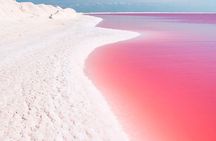 Explore the Nature: Las Coloradas & Rio Lagartos from Playa del Carmen