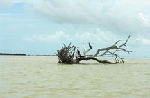 Tour Holbox at Pasion Island & Cenote Yalahau from Cancún