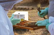 Beekeeper for a Day close to Nafplio
