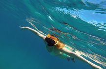 Scenic Speed-Boat Snorkel Tour