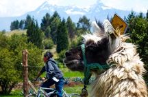 Top Ten Wonders of Ecuador Tour from Quito end in Cuenca 