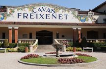 Cavas Freixenet Wine Tour from Mexico City