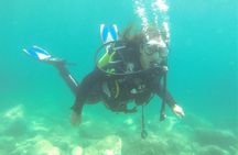 Introdive