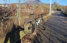 Mt Vesuvius E-Bike Tour